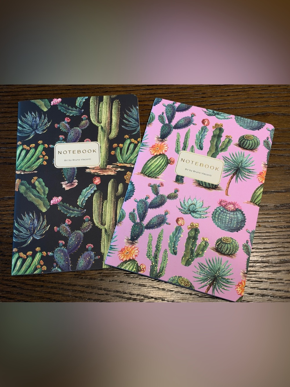Set of 2 Cactus Design Gold Foil Detailed Soft Touch Notebook Journals
